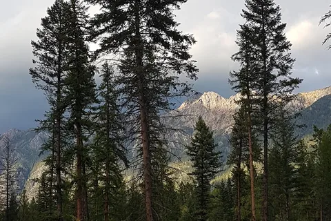 Premier Lake Provincial Park