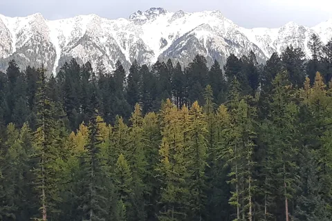 Premier Lake Provincial Park