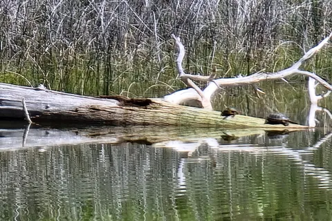 Premier Lake Provincial Park