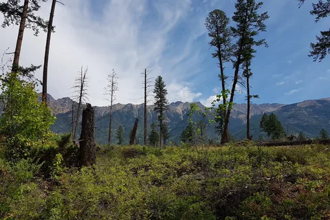 Premier Lake Provincial Park