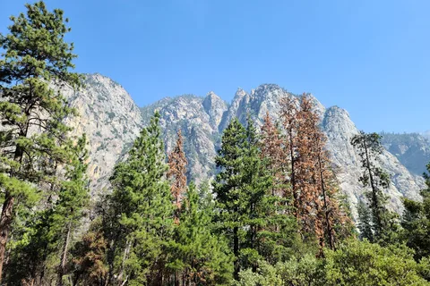 Kings Canyon National Park