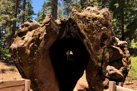 Kings Canyon National Park