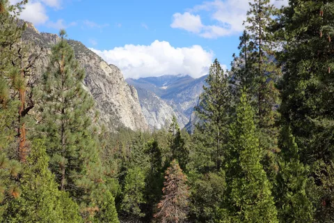 Kings Canyon National Park