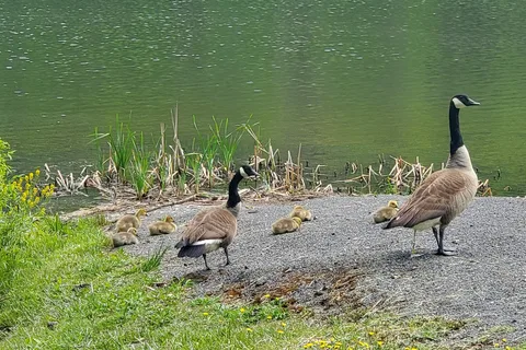 Little Beaver State Park