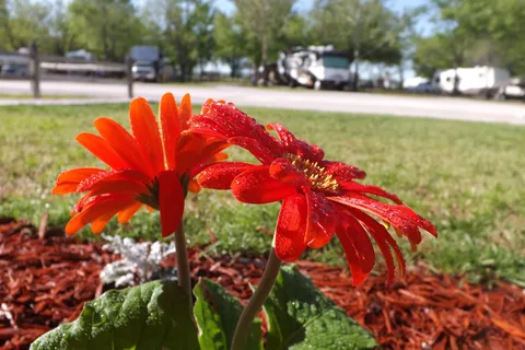 Sallisaw / Fort Smith West KOA Holiday