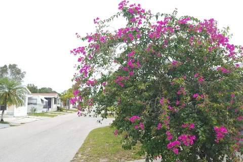 Fort Myers RV Resort