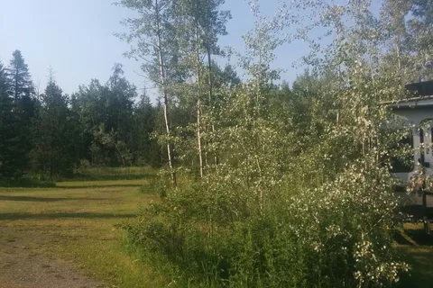 Big Country Campground and RV Park