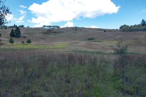 Big Country Campground and RV Park