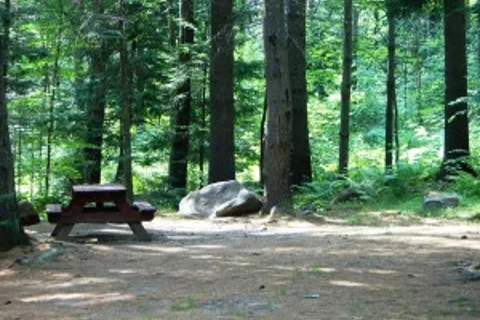 Stony Brook Recreation - Campground