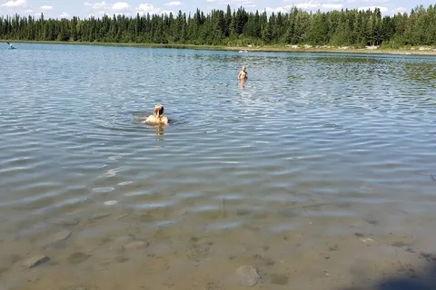Kinky Lake - Wildhorse Lake Provincial Recreational Area