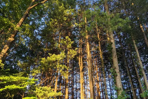 Cozy Acres Campground RV Resort