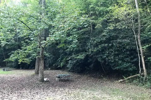 Brookside Campground and Rafting