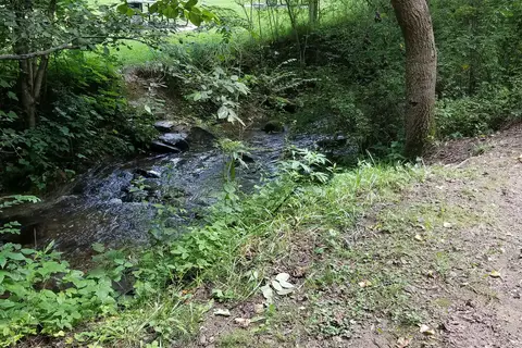 Brookside Campground and Rafting
