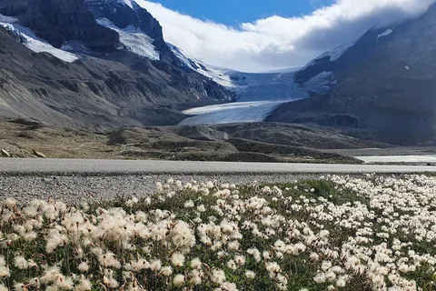 Parc national du Canada Jasper