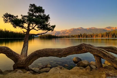 Parc national du Canada Jasper