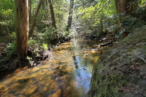 Cumberland Mountain State Park