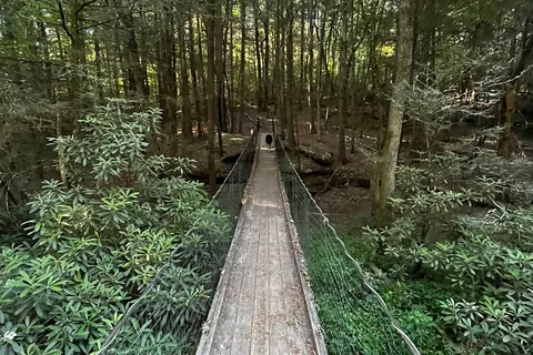 Cumberland Mountain State Park