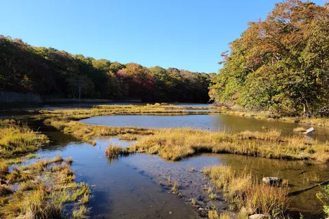 Rocky Neck State Park