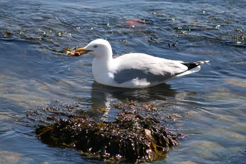 Rocky Neck State Park