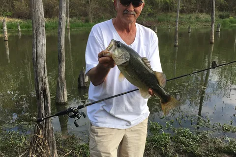 A and F RV Park Resort on Lake Fork