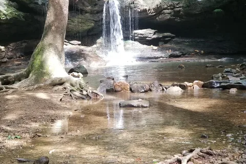 Frozen Head State Park