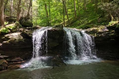 Frozen Head State Park