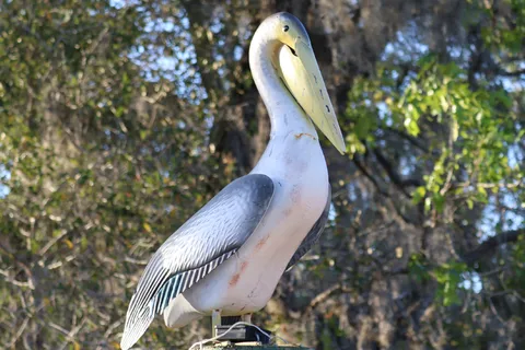 Bonita Palms RV Park