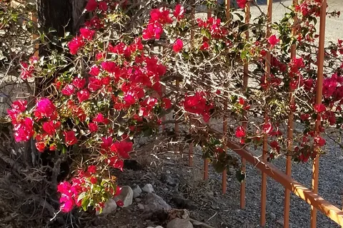 Arizona Sun RV Park