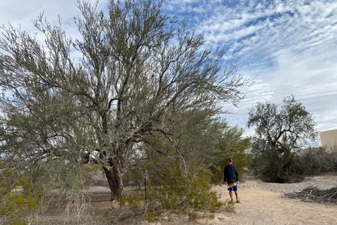Arizona Sun RV Park
