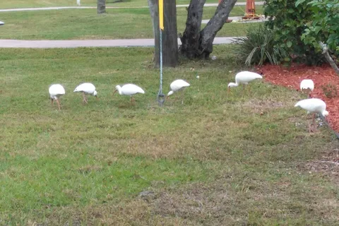 Lakewood Village RV Resort