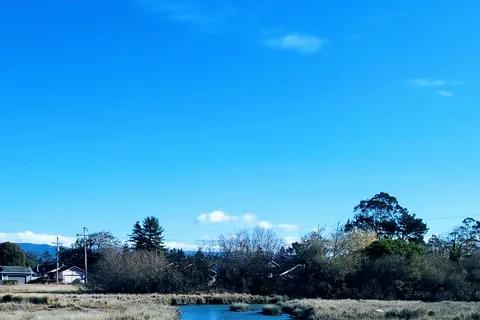 Shoreline RV Park