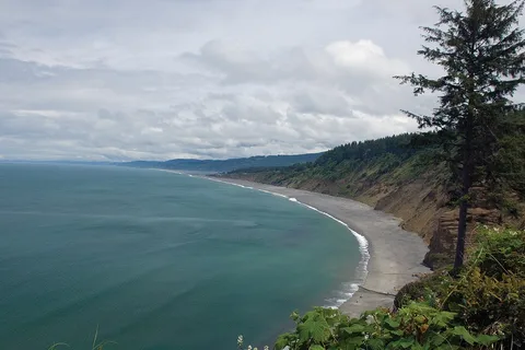 Shoreline RV Park