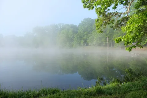 Coopers Lake Campground