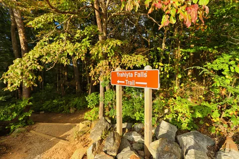 Vogel State Park