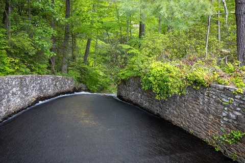 Vogel State Park