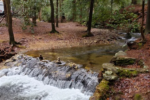 Vogel State Park