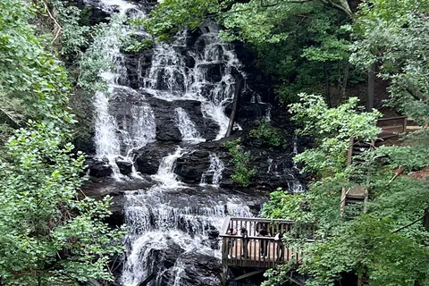 Vogel State Park