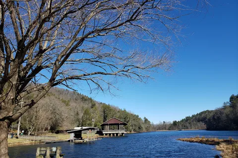 Vogel State Park