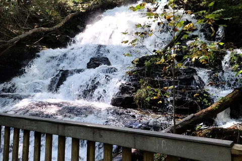 Vogel State Park