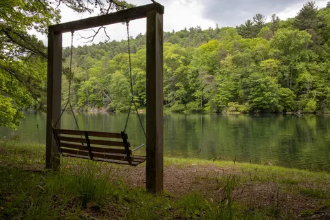 Vogel State Park