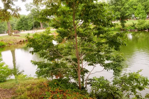 Bear Creek RV Park