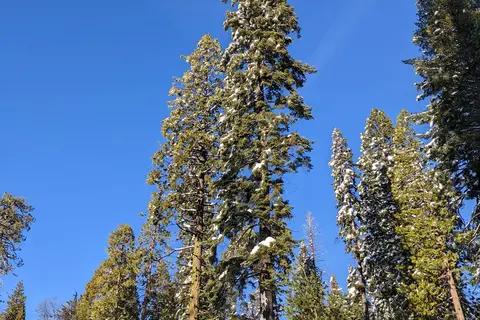 Highway 108 Sno-Park
