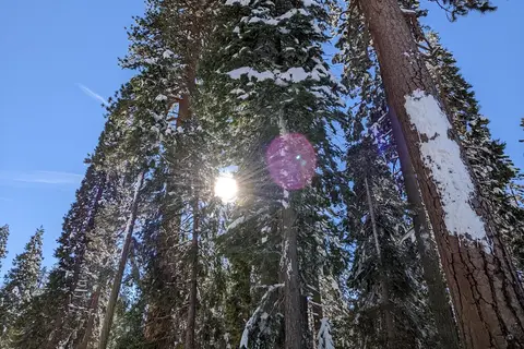 Highway 108 Sno-Park