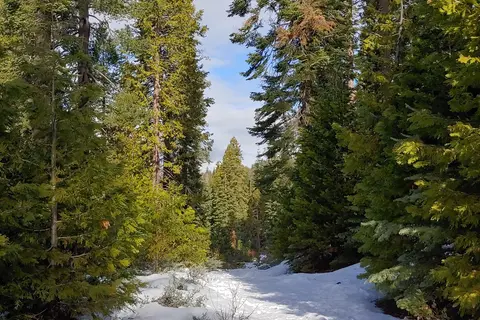 Highway 108 Sno-Park