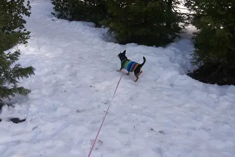 Highway 108 Sno-Park