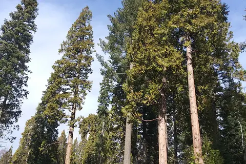Highway 108 Sno-Park