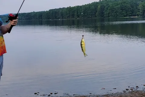 Moncove Lake State Park