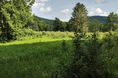 Moncove Lake State Park