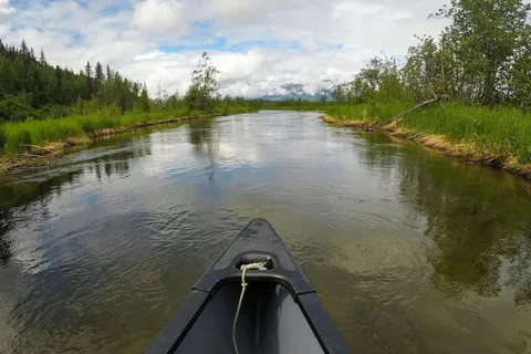 Byers Lake Campground - Denali State Park