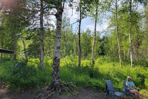 Byers Lake Campground - Denali State Park